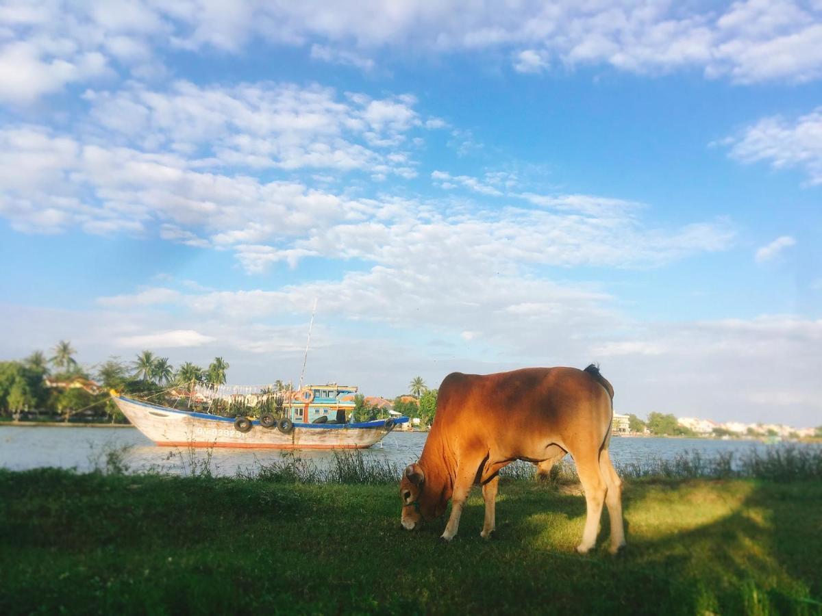 Rural Scene Villa Χόι Αν Εξωτερικό φωτογραφία